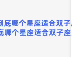 到底哪个星座适合双子座 到底哪个星座适合双子座男生